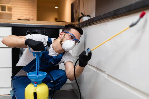 Best Pest Inspection Near Me  in Republic, MO