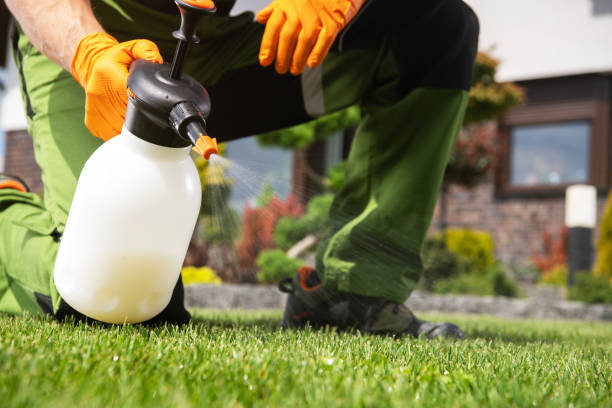 Trusted Republic, MO Pest Control Experts