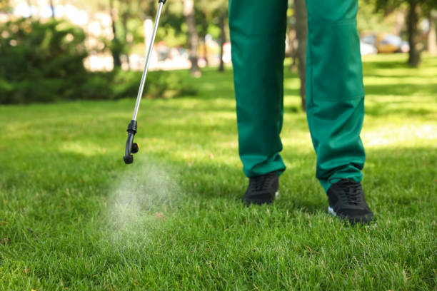 Best Residential Pest Control  in Republic, MO
