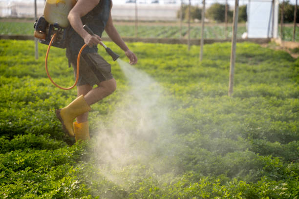 Best Pest Removal Services  in Republic, MO