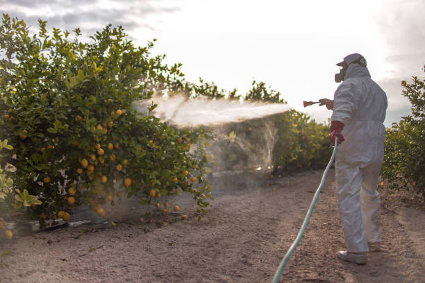 Pest Prevention Services in Republic, MO