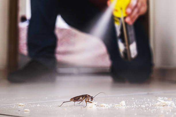 Best Residential Pest Control  in Republic, MO